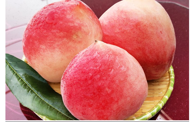 渔猫生鲜【顺丰空运】北京平谷大桃子新鲜水蜜桃应季水果脆桃 现摘