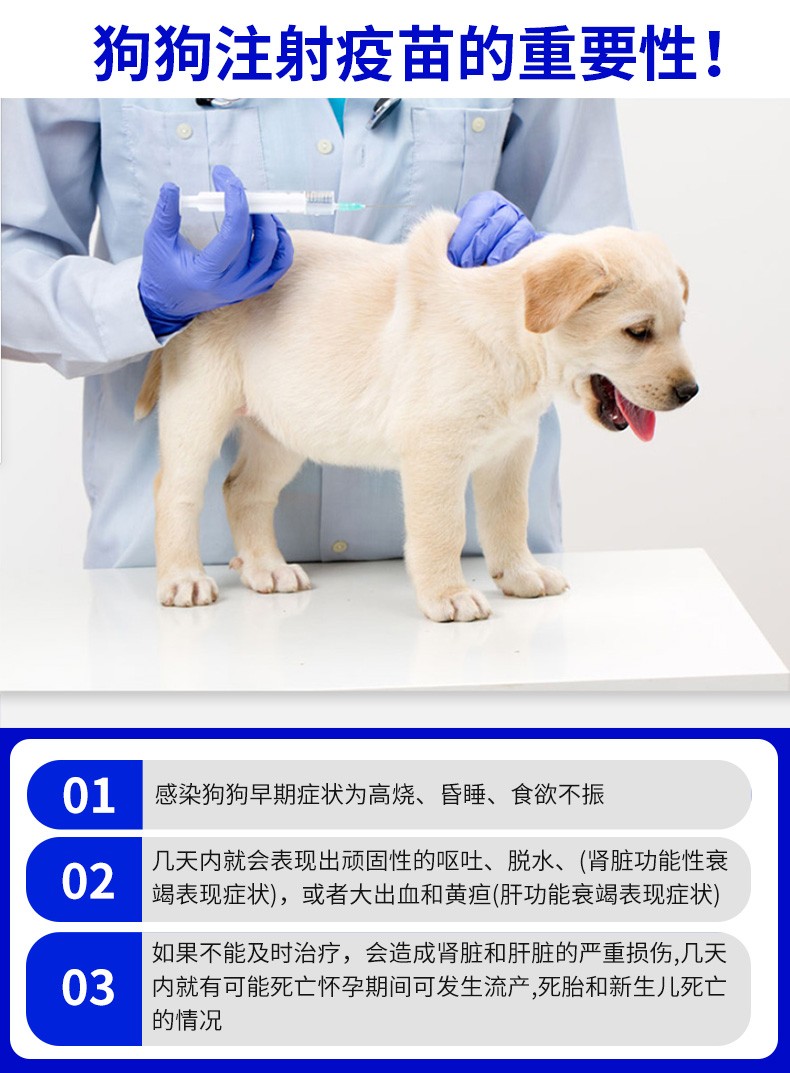 英特威狗疫苗二联四联六联狂犬疫苗成幼犬疫苗套装宠必威小狗育苗成犬