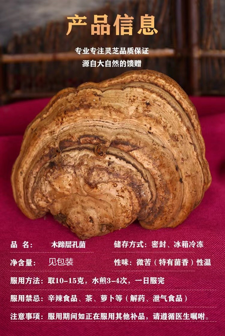 煜树灵芝木蹄灵芝东北木蹄层孔菌正宗可切片木蹄灵芝1000g