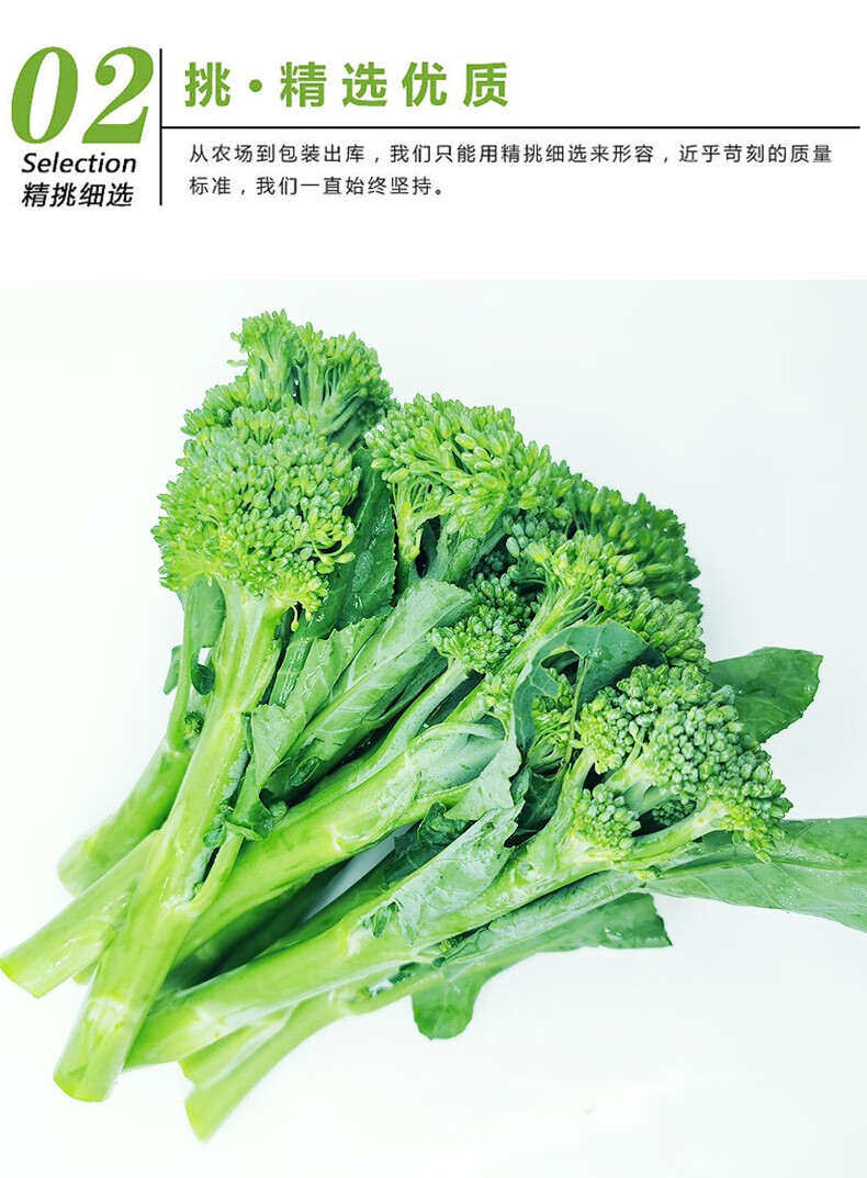 顺丰新鲜西兰苔时令蔬菜青花苔迷你小西兰花苔甜杆西兰现摘现发冷链