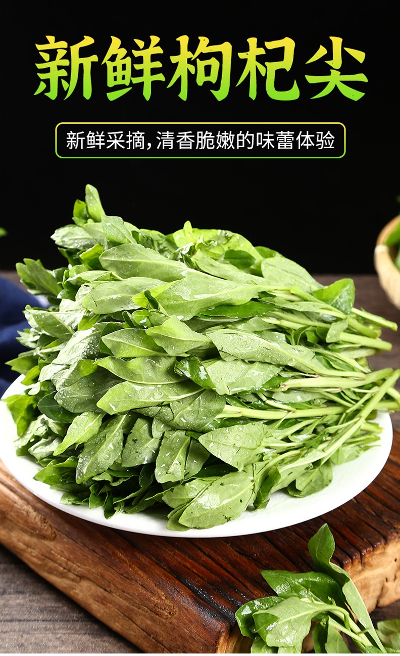 新鲜枸杞叶菜现摘嫩芽头野菜应季枸杞芽蔬菜1000g
