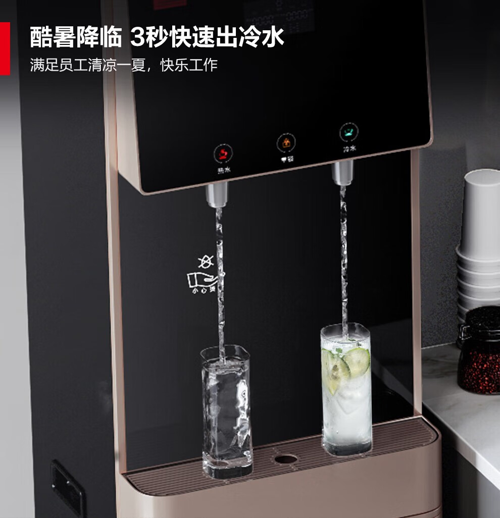 德玛仕(demashi)商用直饮水机 办公室学校工厂用开水器 不锈钢直饮机