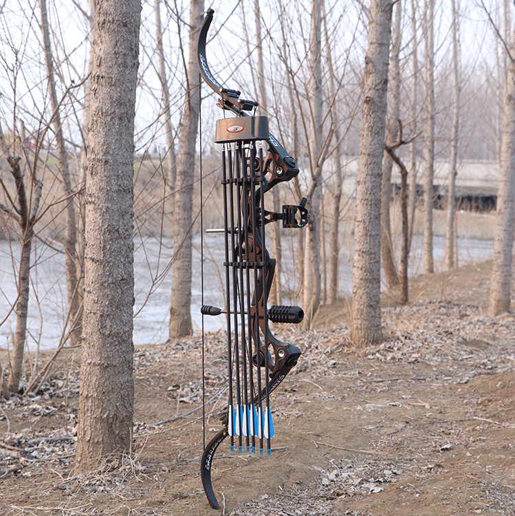 军兴新款鹰弓美猎反曲弓户外渔轮复合滑轮弓箭成人套装金属器材弓箭射