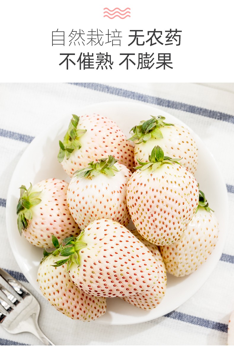 淡雪白草莓奶油牛奶大草莓新鲜当季孕妇水果3盒单盒915粒