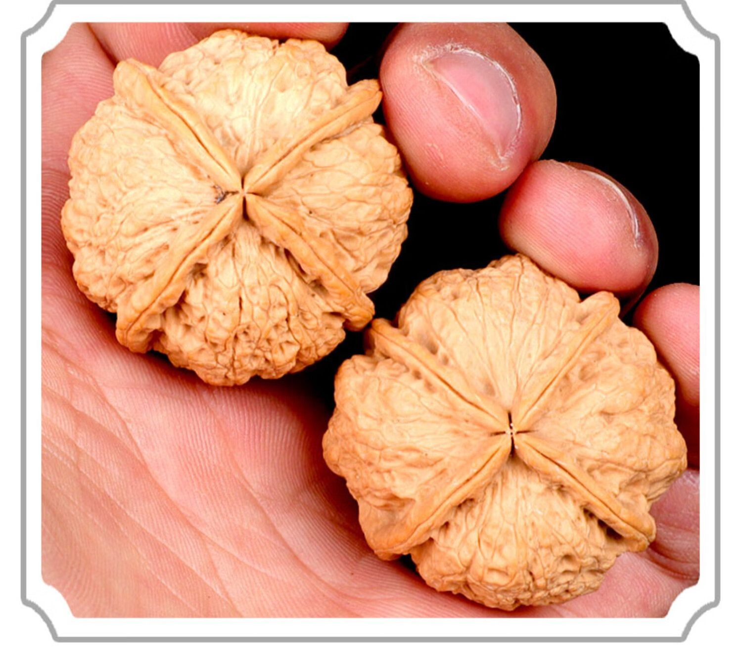 采摘男士手把件云南野生铁核桃文玩把玩精品盘玩四棱铁核桃送四件套