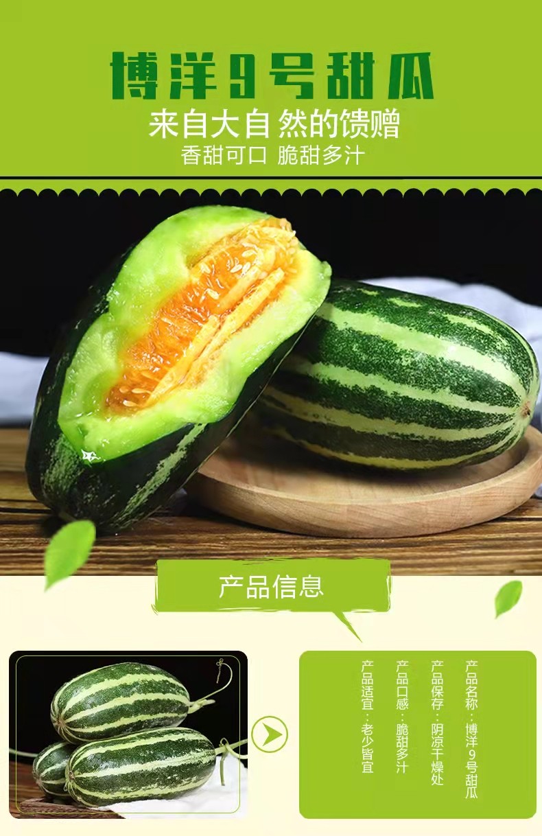 山东博洋9号甜瓜5斤新鲜水果现摘当季小脆瓜羊角蜜香瓜5斤