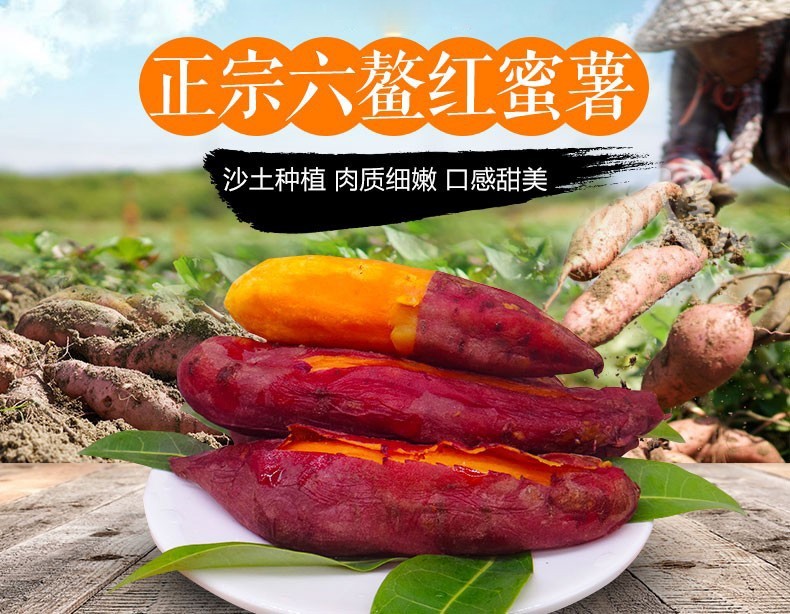 泰美农红薯正宗福建六鳌蜜薯西瓜红蜜薯地瓜蜜薯2500g生鲜蔬菜龙薯9号