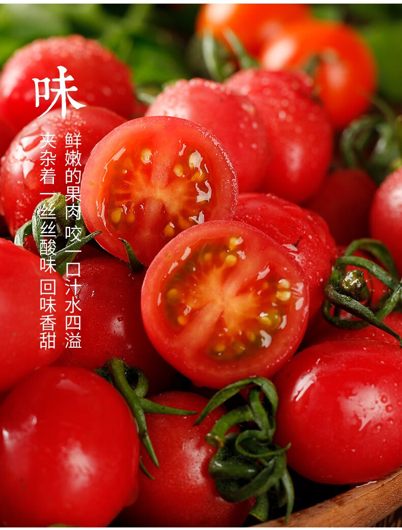 海南陵水千禧 玲珑小番茄新鲜圣女果糖豆千禧 精选陵水千禧5斤装