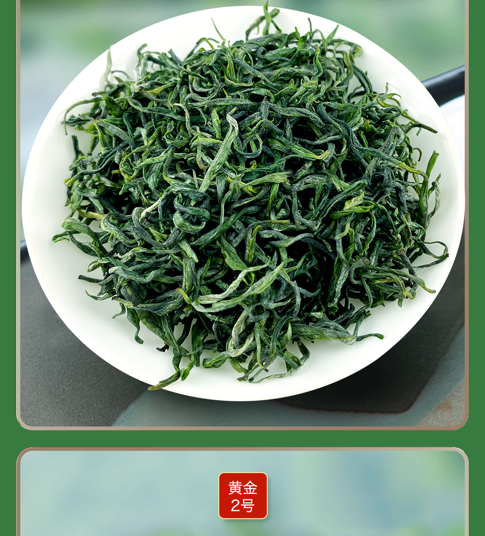 湘西保靖黄金茶特级黄金茶2号2022明前茶湖南特产罐装新茶绿茶60g潇湘