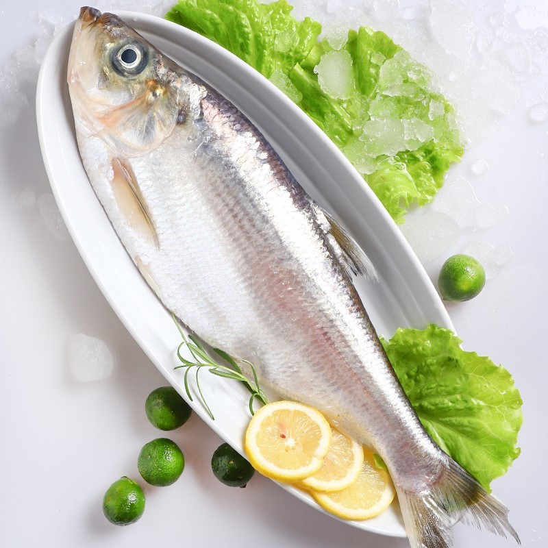 新鲜白鳞鱼 海捕鳓鱼 鲜活速冻曹白鱼 白鳓鱼 鲞鱼 快鱼 4斤(每条约2