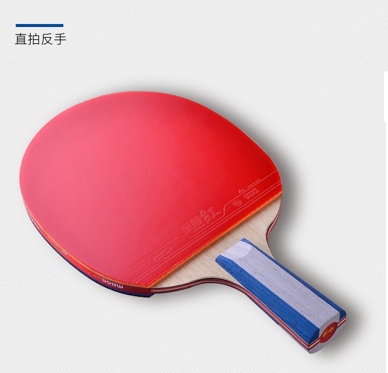 美狮龙mslon乒乓球拍单拍省队专业级球拍初学者兵乓球