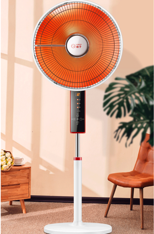 扬子小太阳取暖器家用节能省电暖气电热风扇电暖扇立式落地烤火炉扬子