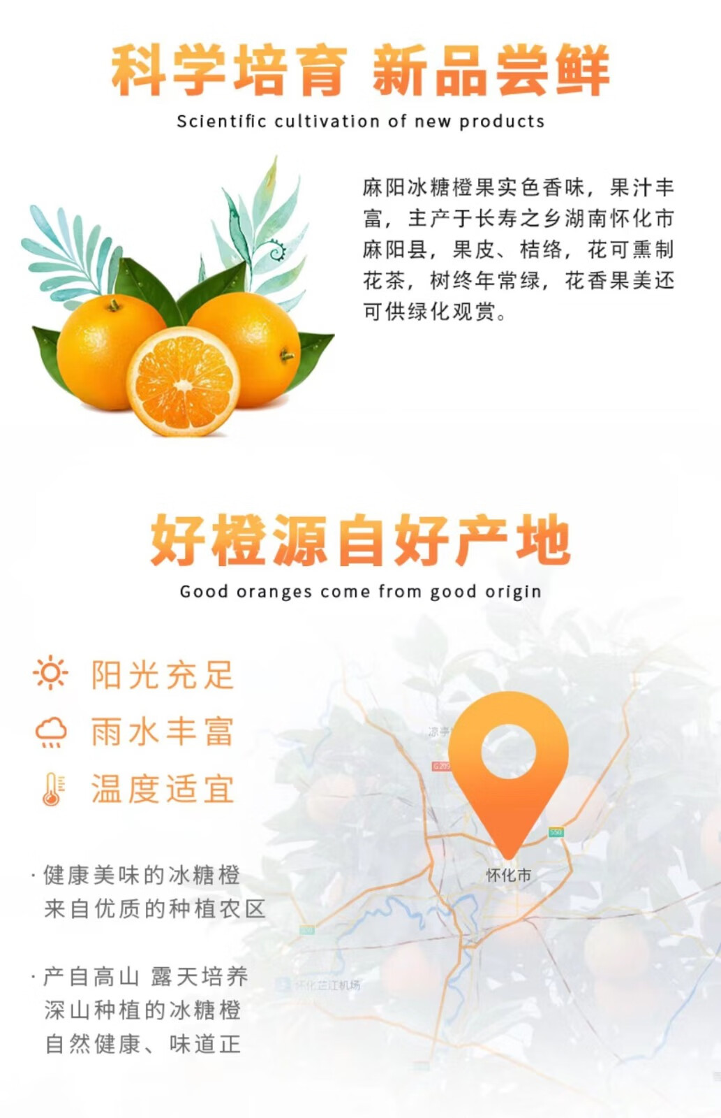 (拍2份2斤发5斤)湖南麻阳冰糖橙新鲜橙子应季水果湘西特产 整箱2斤大