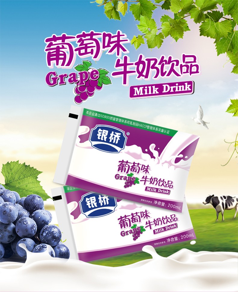 银桥 牛奶饮品 饮料冲调 酸酸乳 百利包 风味奶营养早餐奶 葡萄味 200