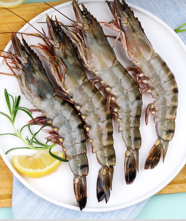 府哥 超大活冻黑虎虾超大草虾虎头虾斑节虾竹节虾海虾鲜活冷冻大号12