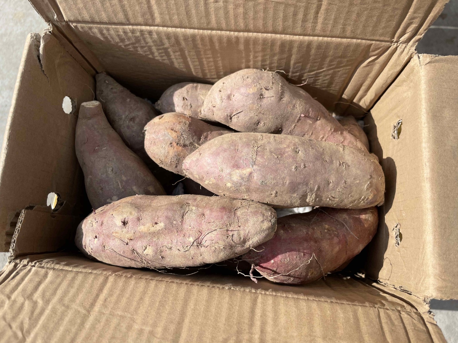 精选中果日本高端红薯品种红瑶蜜薯糖心烤地瓜红薯新鲜蜜薯冰薯甜润流