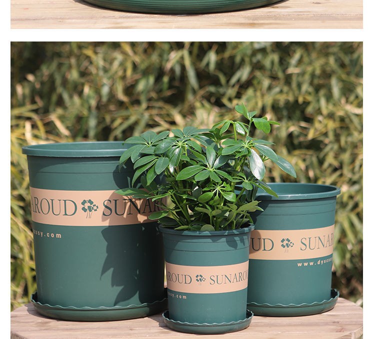 【紫兮澜】加仑花盆树脂加厚耐用特大号塑料含托盘 高款3加仑【5个装