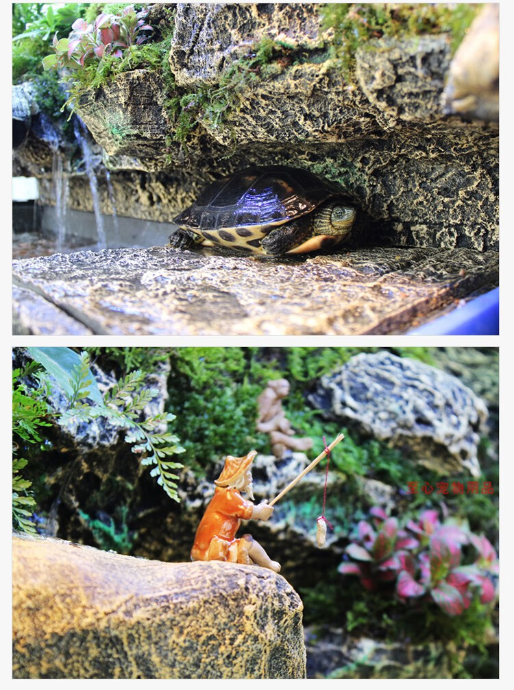 乌龟缸带晒台玻璃水龟缸雨林造景水陆缸鳄龟缸黄缘龟缸巴西龟缸yp1350