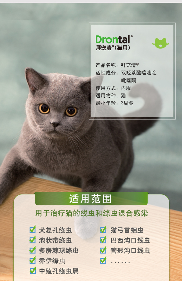 德国拜耳拜宠清猫咪体内驱虫药猫用驱虫药驱蛔虫绦虫线虫2粒装