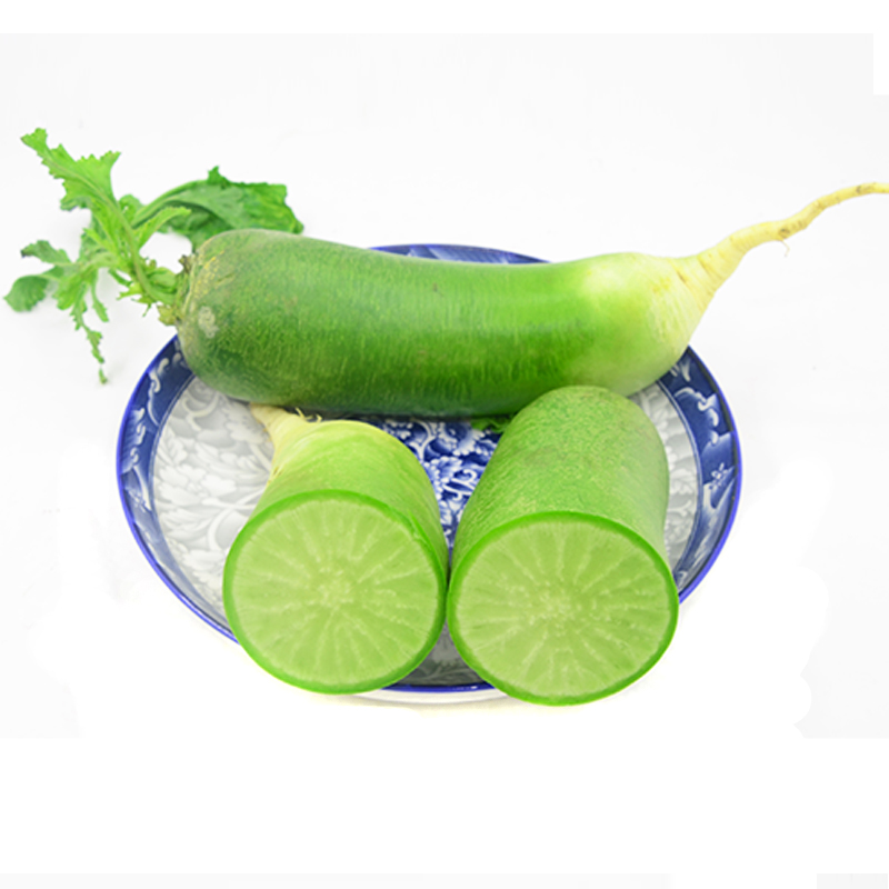 维桑沙窝萝卜天津特产正宗水果萝卜25kg5斤青萝卜绿萝卜