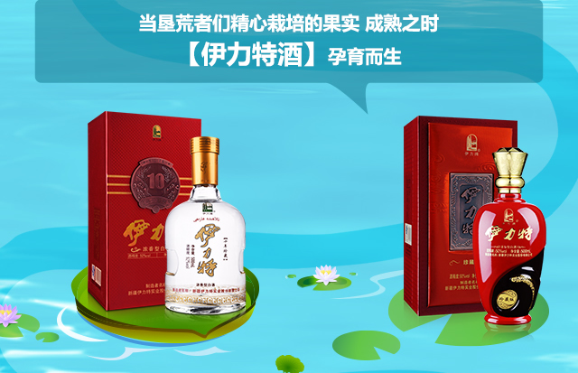 新疆品牌白酒伊力特官方旗舰店46度浓香型伊力老窖整箱装