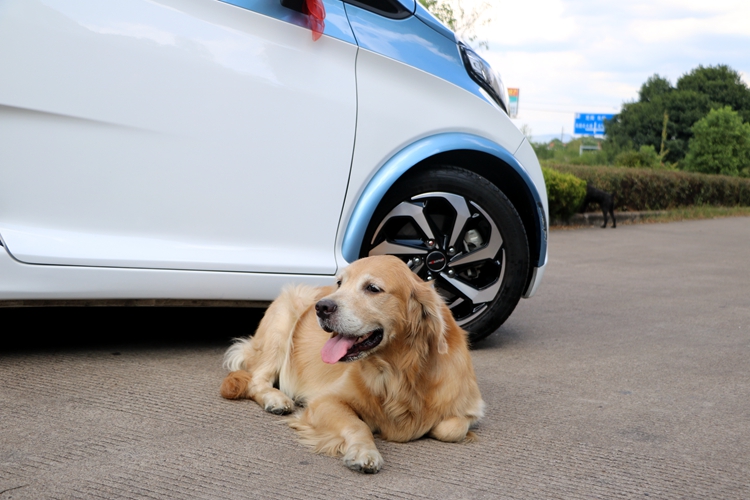 乾仕通铝轮2016款15英寸科沃原装款式铝合金轮毂改装16英寸雪佛兰