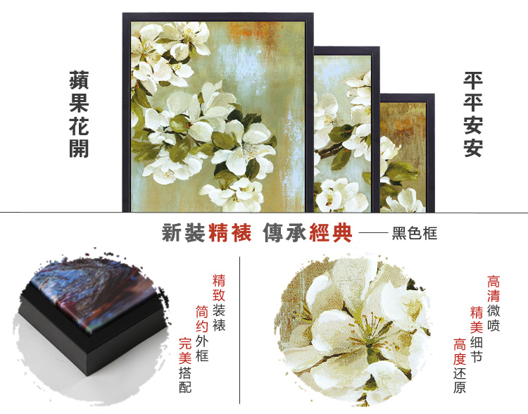 
                                        视觉星客厅现代装饰画玄关壁画电表箱沙发背景墙挂画仿油画无框画苹果花开 苹果花开白色细框 60x90*3                