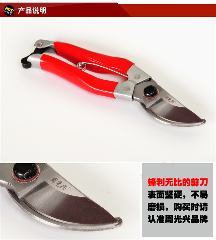 
                                        周光兴果树园林剪刀园艺修枝剪花木剪工具锯 园艺剪刀盆景果剪                