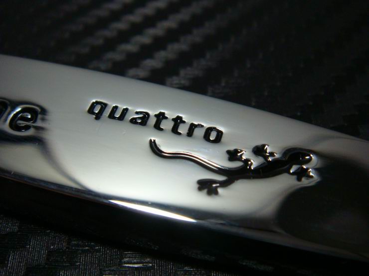 autofansde台湾产奥迪sline四驱壁虎车标贴铭牌翼子板标立体贴叶子板