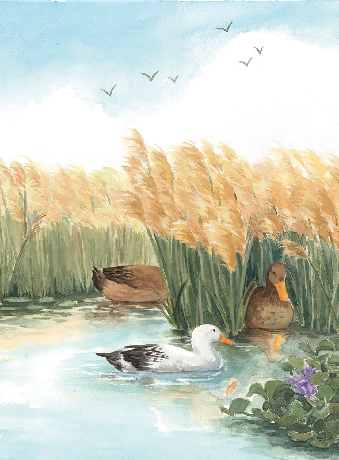 河边的邻居(精)/曹文芳纯美绘本