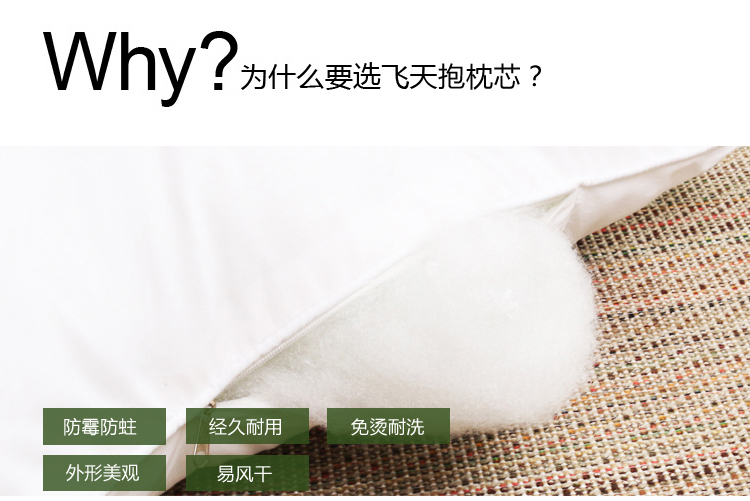 
                                        飞天 床头沙发抱枕靠垫含芯  纯棉帆布靠枕套 可定制抱枕 蔚蓝海岸 55*55cm含芯                