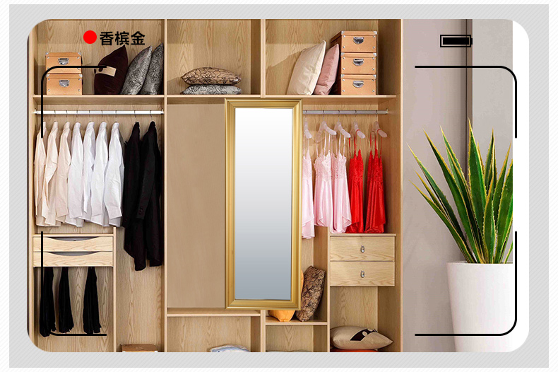 好莱佳穿衣镜试衣镜衣柜收纳柜旋转推拉折叠壁挂柜内伸缩全身镜子h