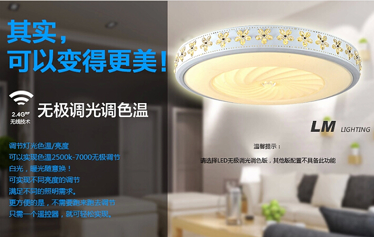 亮盟照明 吸顶灯LED卧室吸顶灯客厅灯简约现代简约圆形灯具遥控灯饰8612 无极调光24瓦 42cm带遥控