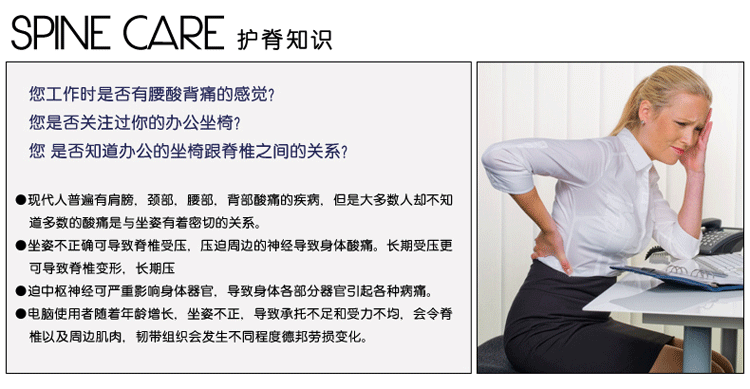 香港赛诺SINOMAX健康腰垫C-032记忆棉芯靠垫腰垫办公腰垫 蓝色