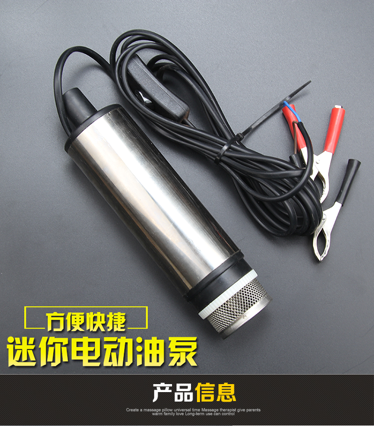 威氏迷你小抽油泵直流加油泵柴油泵输油泵吸油泵24v迷你油泵 24v