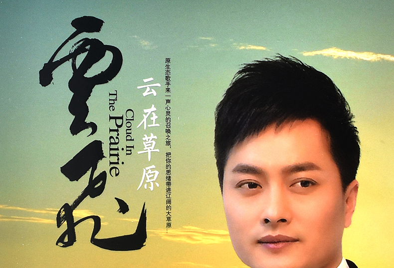 正版云飞dvd新歌 草原歌曲精选 汽车载dvd音乐高清视频mv光盘碟片