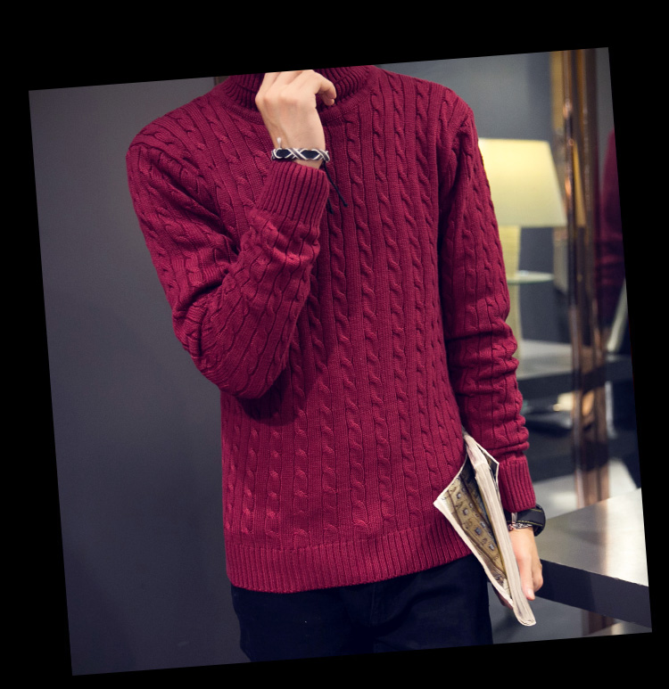 男装 针织衫 沁鸿(qinhong) 沁鸿服饰高领毛衣男士毛衣2015 秋冬新款