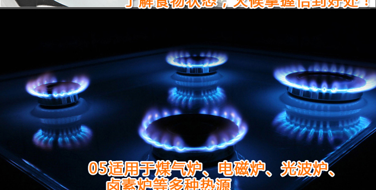 家兴 二层多用复底蒸锅 加厚双层蒸锅不锈钢蒸煮多用蒸锅小蒸锅汤锅  22-30cm 24cm