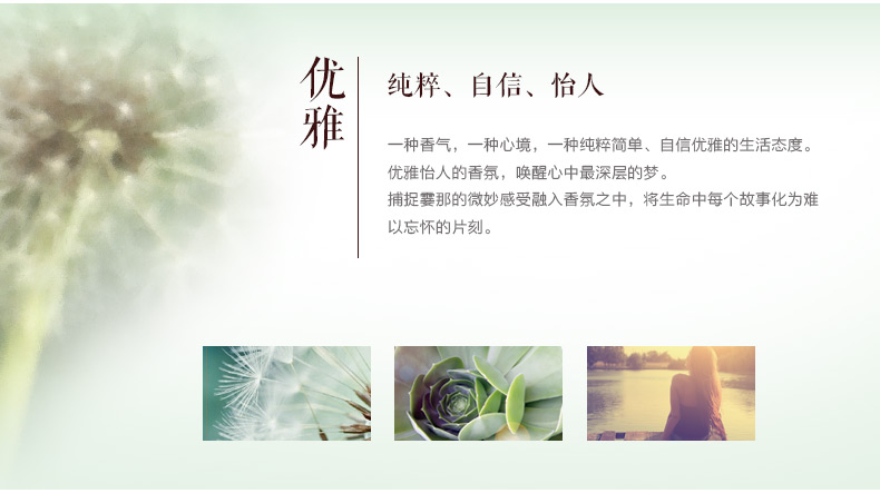 
                                                                                CHANDO香度 香薰 无火香薰 藤条香薰精油70ML套装 进口室内香氛香水精油 薰衣草之恋70ml-浓郁                