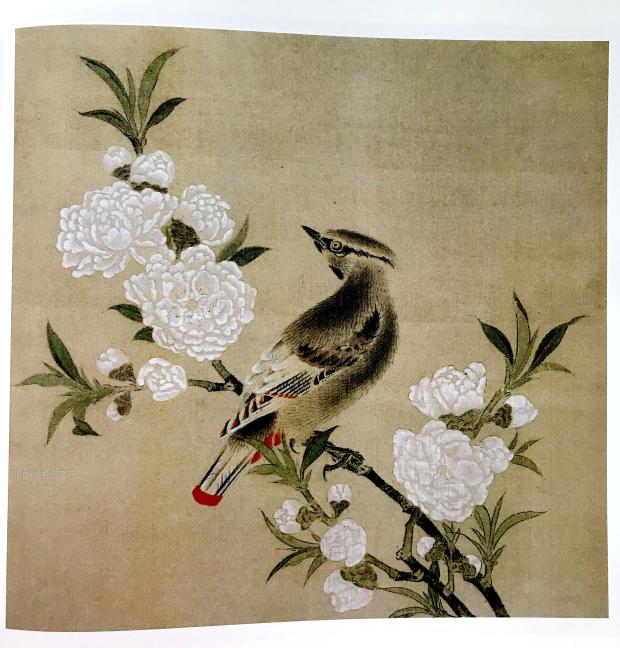 宋画花鸟篇宋画汇珍花鸟卷醉美册页宋代花鸟画集绘画图录美术宋人小品