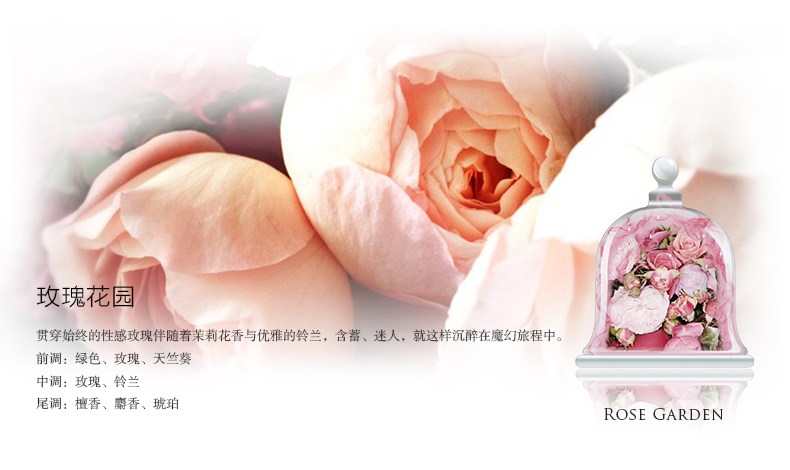 香度CHANDO 純摯100ML 熏香氛沉香檀香 家居室内香水 进口无火香薰精油套装 玫瑰花园-浓郁
