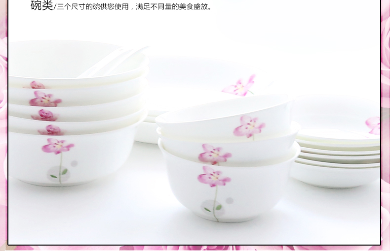 
                                                                                思佰得（Spaier） 思佰得 骨瓷餐具套装家用碗碟套装创意陶瓷碗具礼盒 结婚礼物 安然若素 16件                