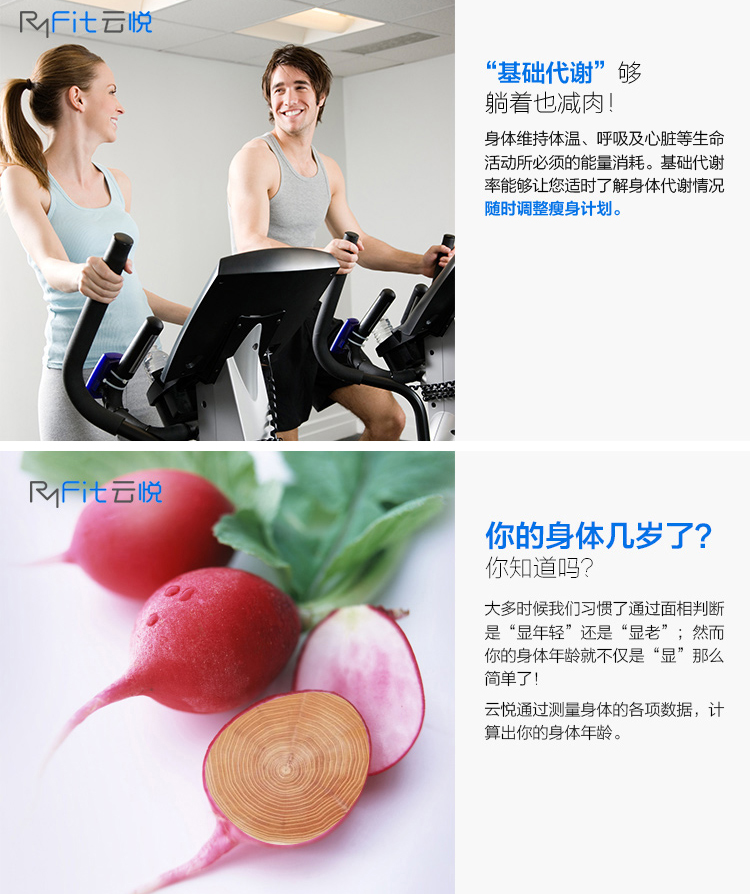 云悦RyFit 瘦身人体秤 智能体脂秤体质分析仪 智能电子秤 十项数据健康检测 青春版-紫色