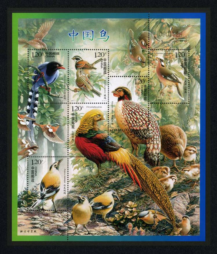 中国鸟 2008-4(t) 邮票