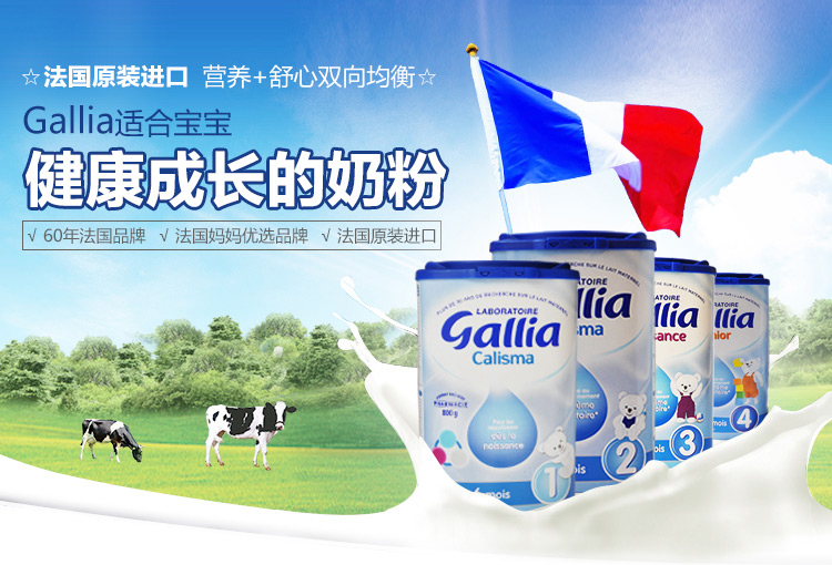 法国达能佳丽雅gallia 经典系列原装进口奶粉 4段(24个月以上宝宝食用