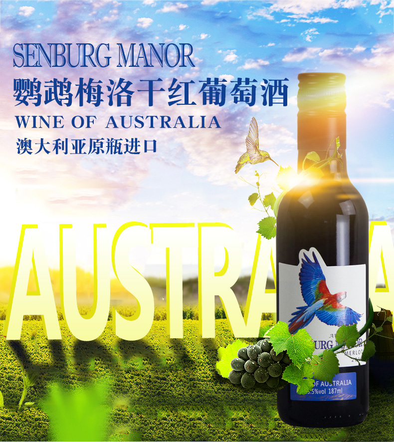 澳洲红酒原瓶进口鹦鹉梅洛美乐干红葡萄酒小瓶装鹦鹉梅洛干红187ml6