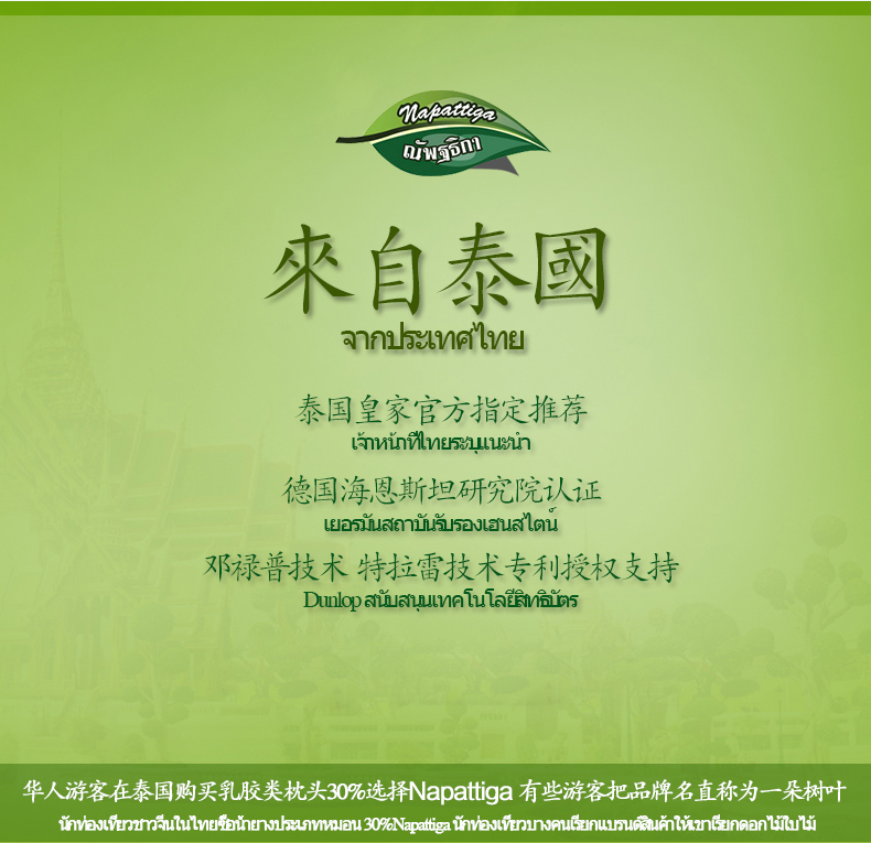 【泰国品牌直邮】 napattiga娜帕蒂卡  乳胶枕枕头枕芯橡胶天然乳胶颈椎按摩高低枕 高低颗粒枕-PT3