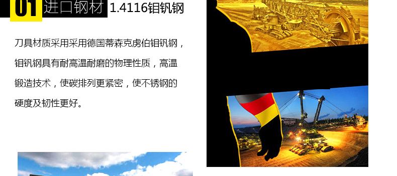 
                                        德世朗进口不锈钢刀具 面包刀单刀 辅助冻肉刀 带锯齿厨刀 LY007                