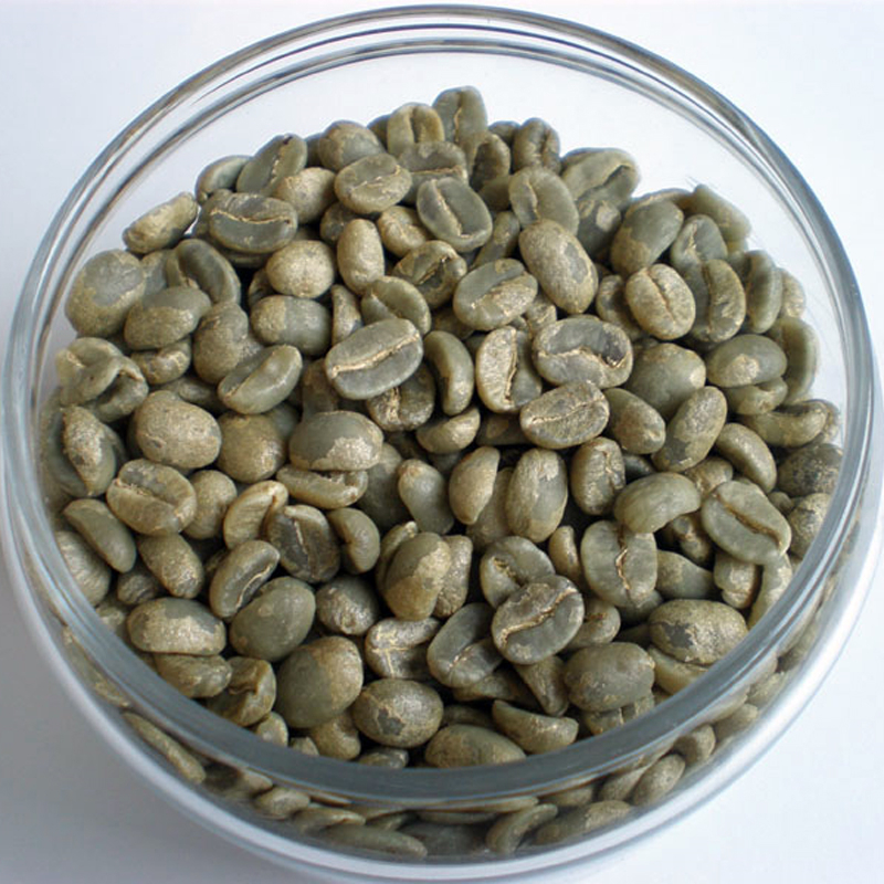 咖啡豆咖啡树种子种子盆栽花卉林木种子 半斤