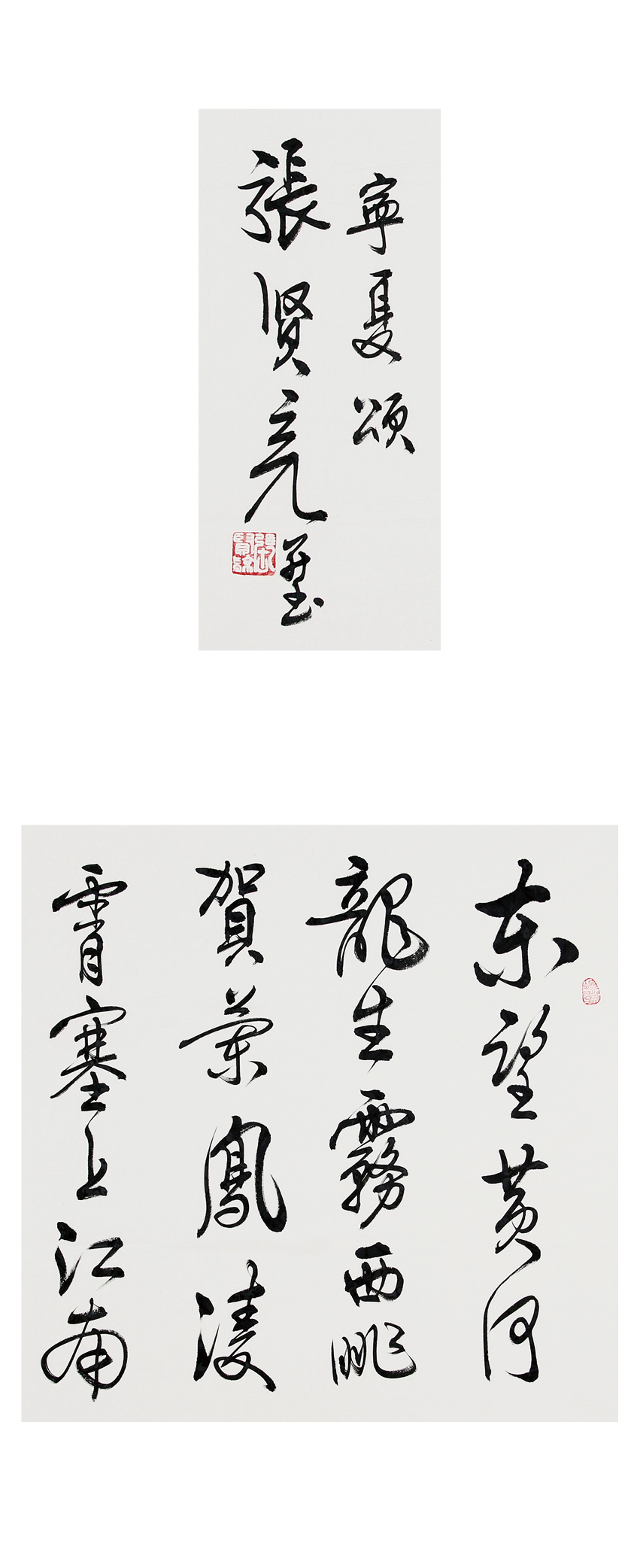 张贤亮《宁夏颂》国家一级作家,书法家【图片 价格 品牌 报价】-京东